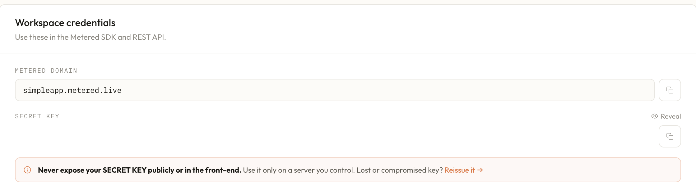 Developers page with the Metered domain and secret key